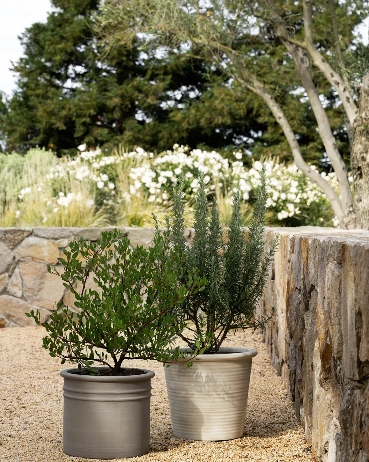 Canton Ceramic Planter