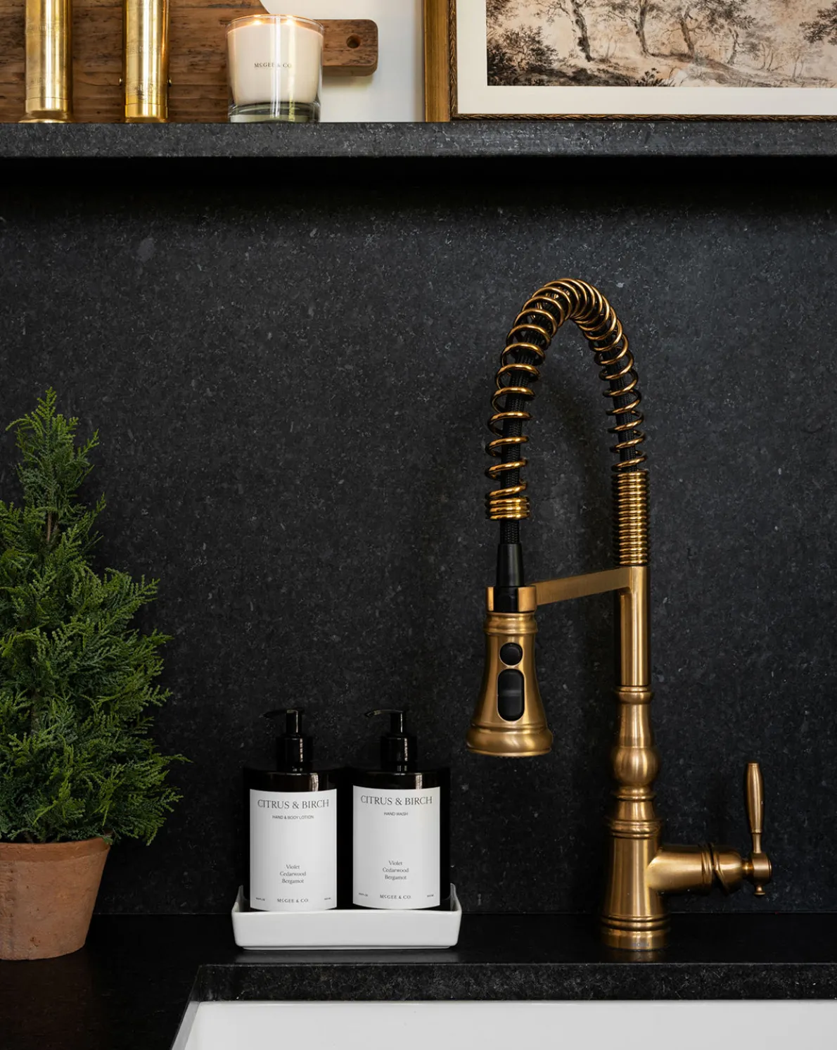 Citrus & Birch Hand Lotion