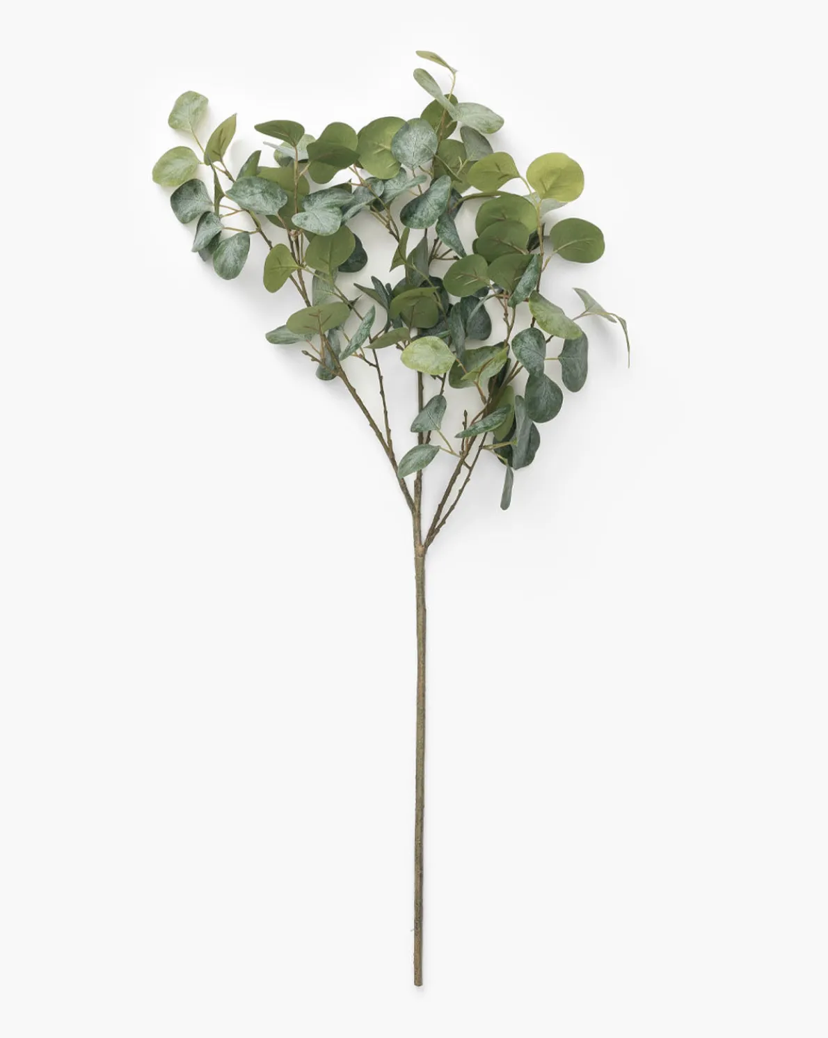 Faux Eucalyptus Branch