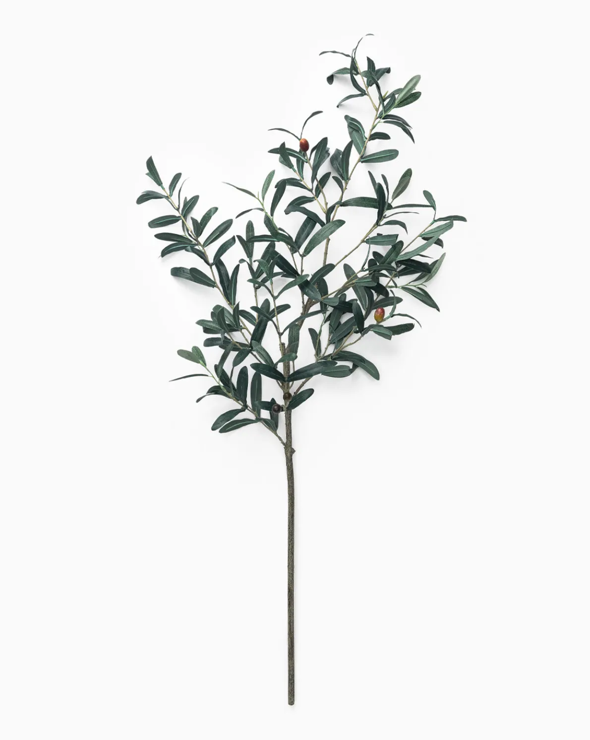 Faux Olive Branch