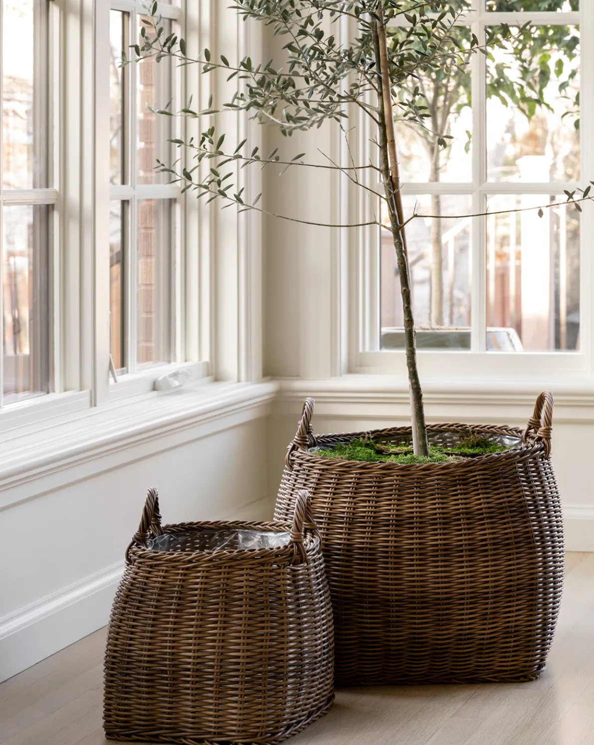 Handled Planter Basket