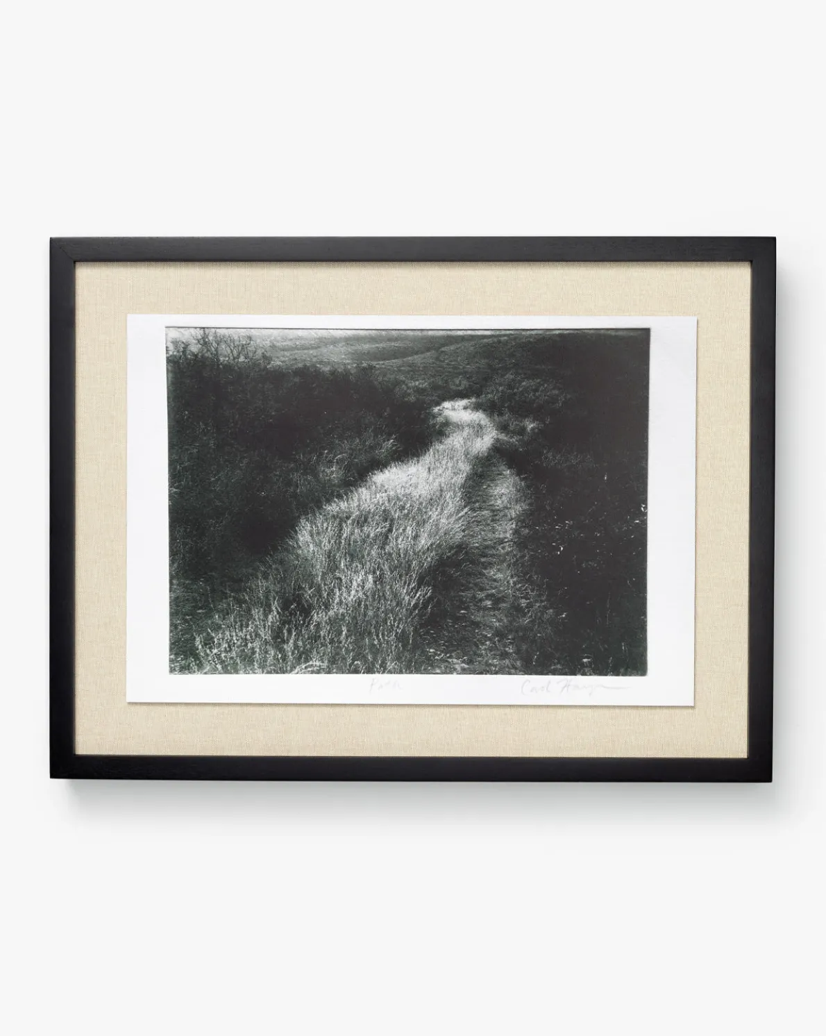 Muted Path Green by Carol Haymon