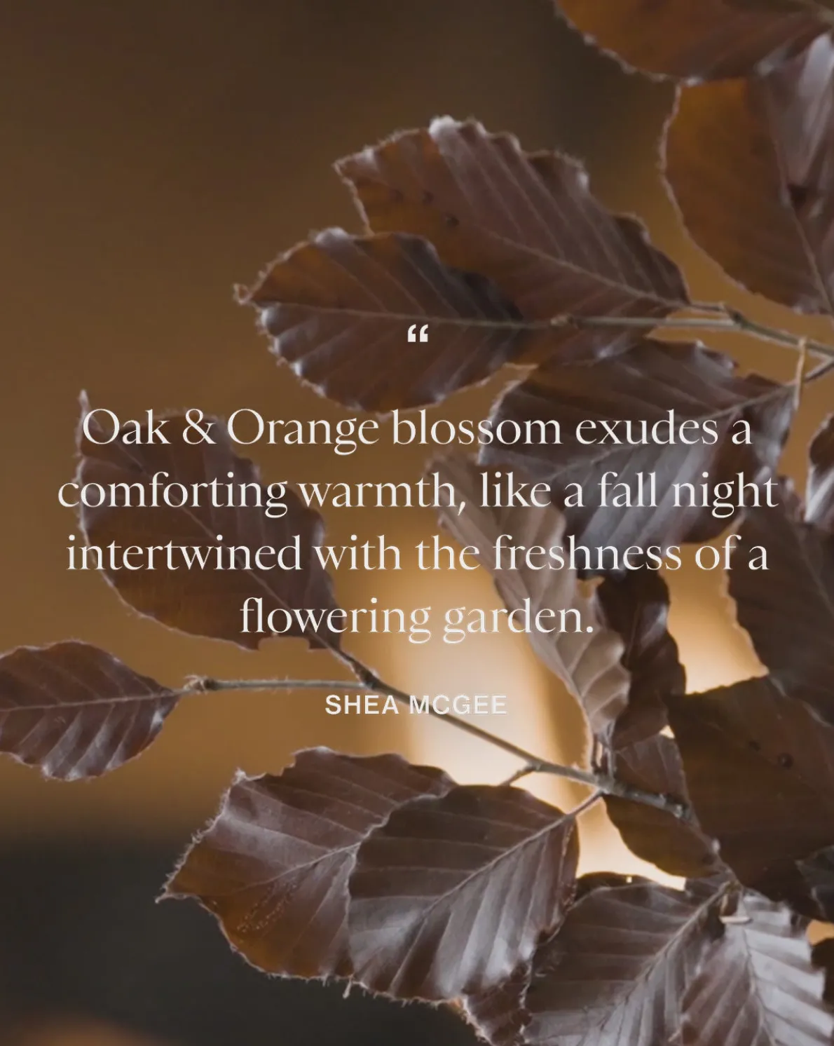 Oak & Orange Blossom Hand Lotion