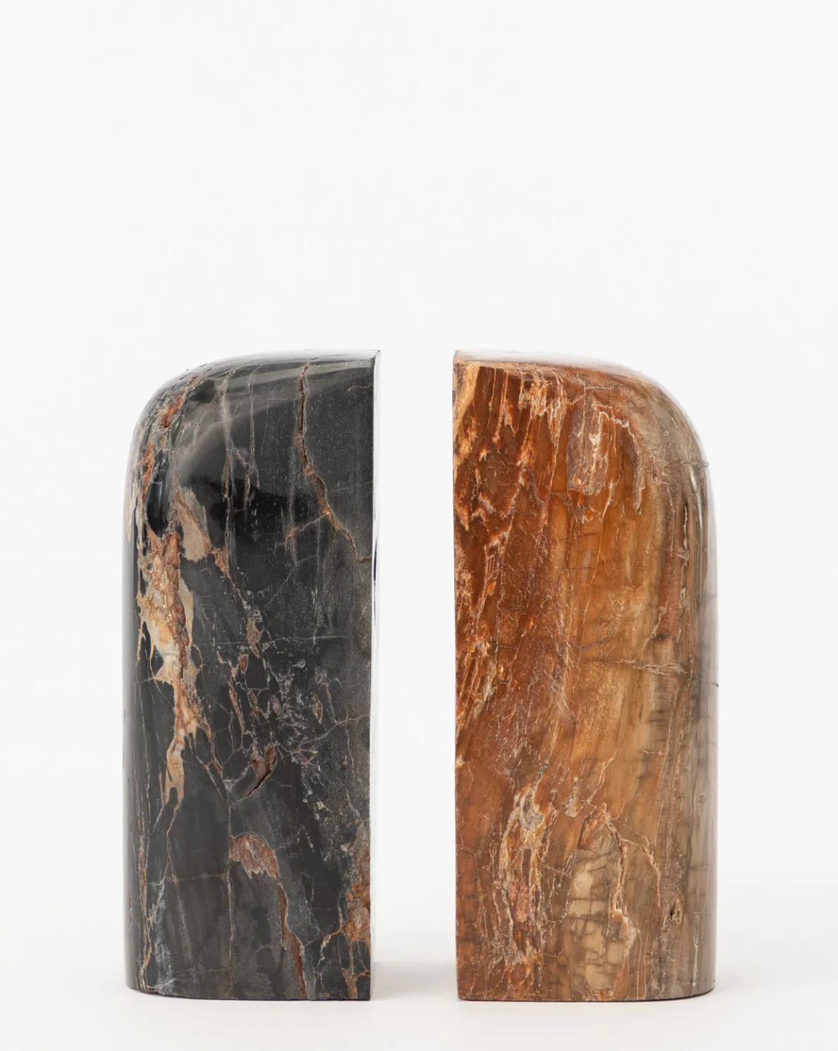Petrified Wood Bookends (Set of 2)
