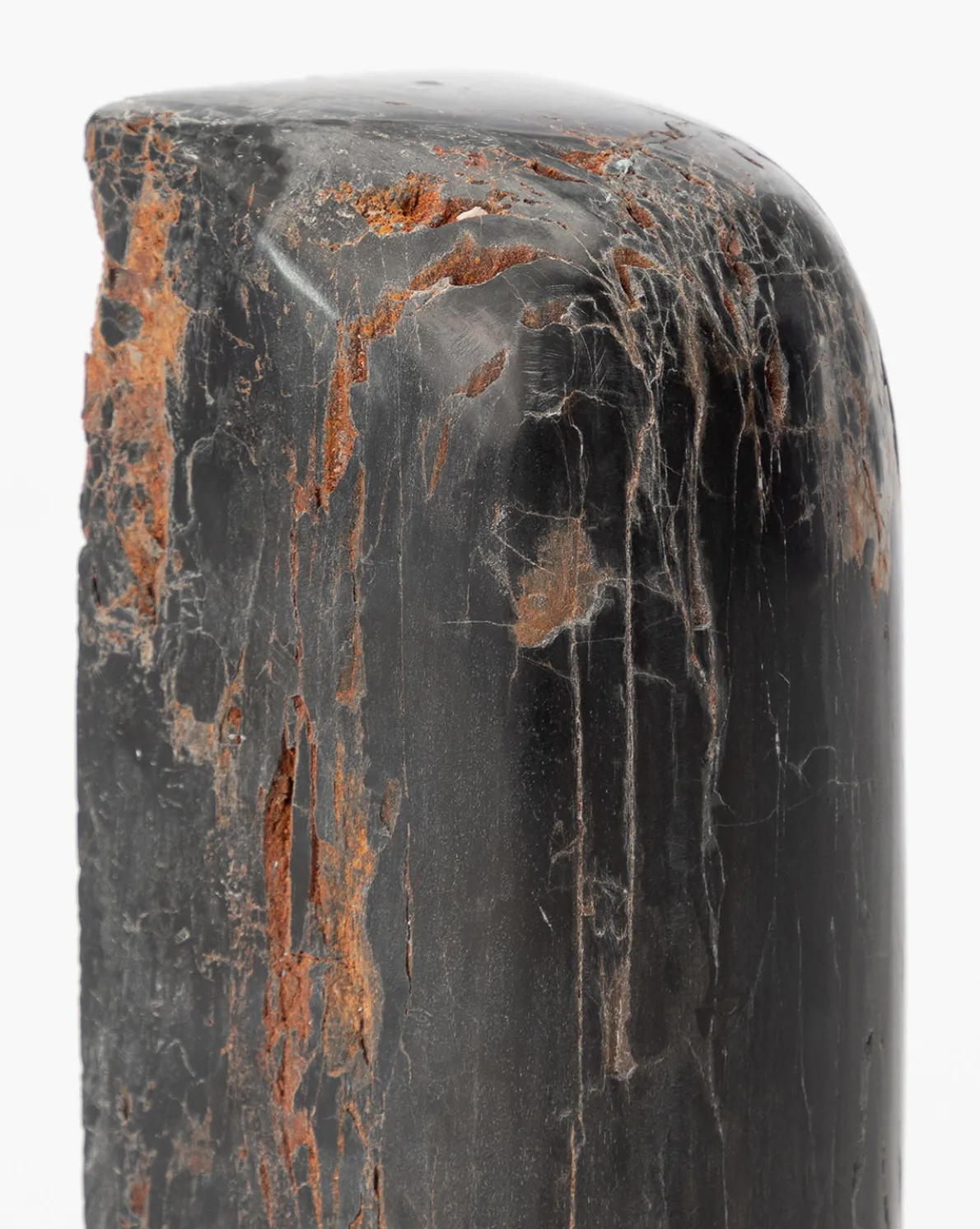 Petrified Wood Bookends (Set of 2)