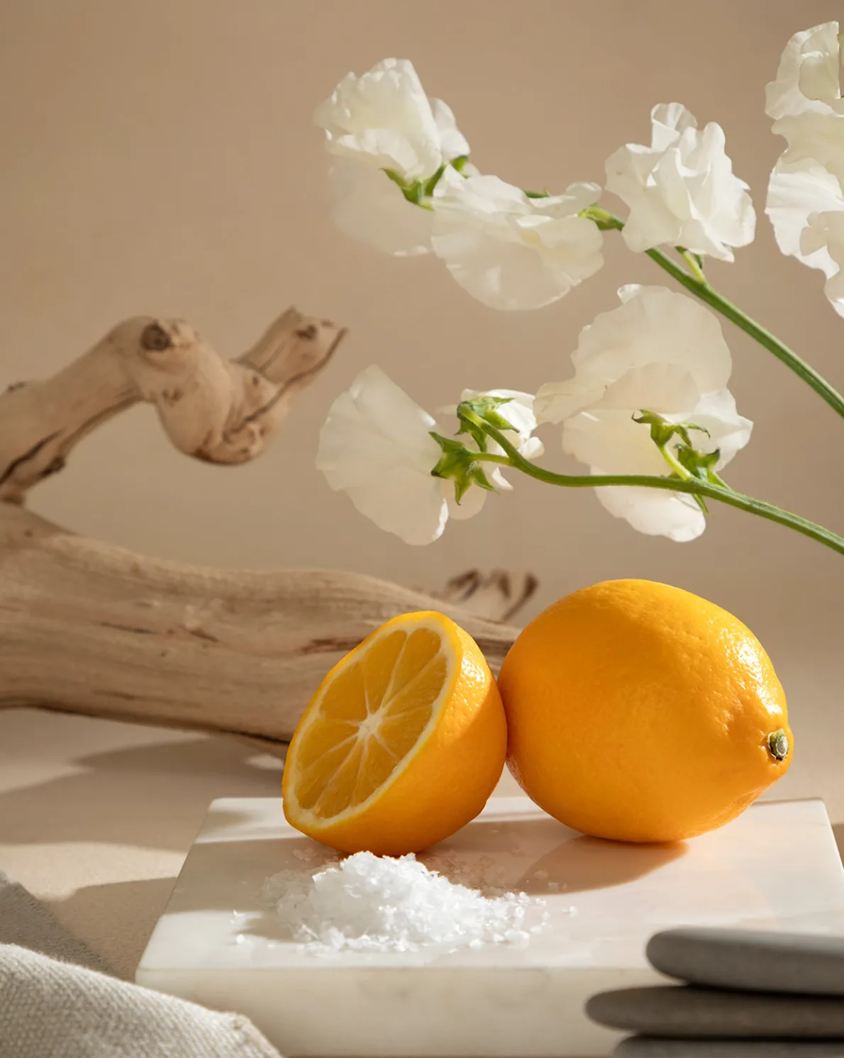 Pura x Studio McGee Seaside Terrace Home Fragrance Refill