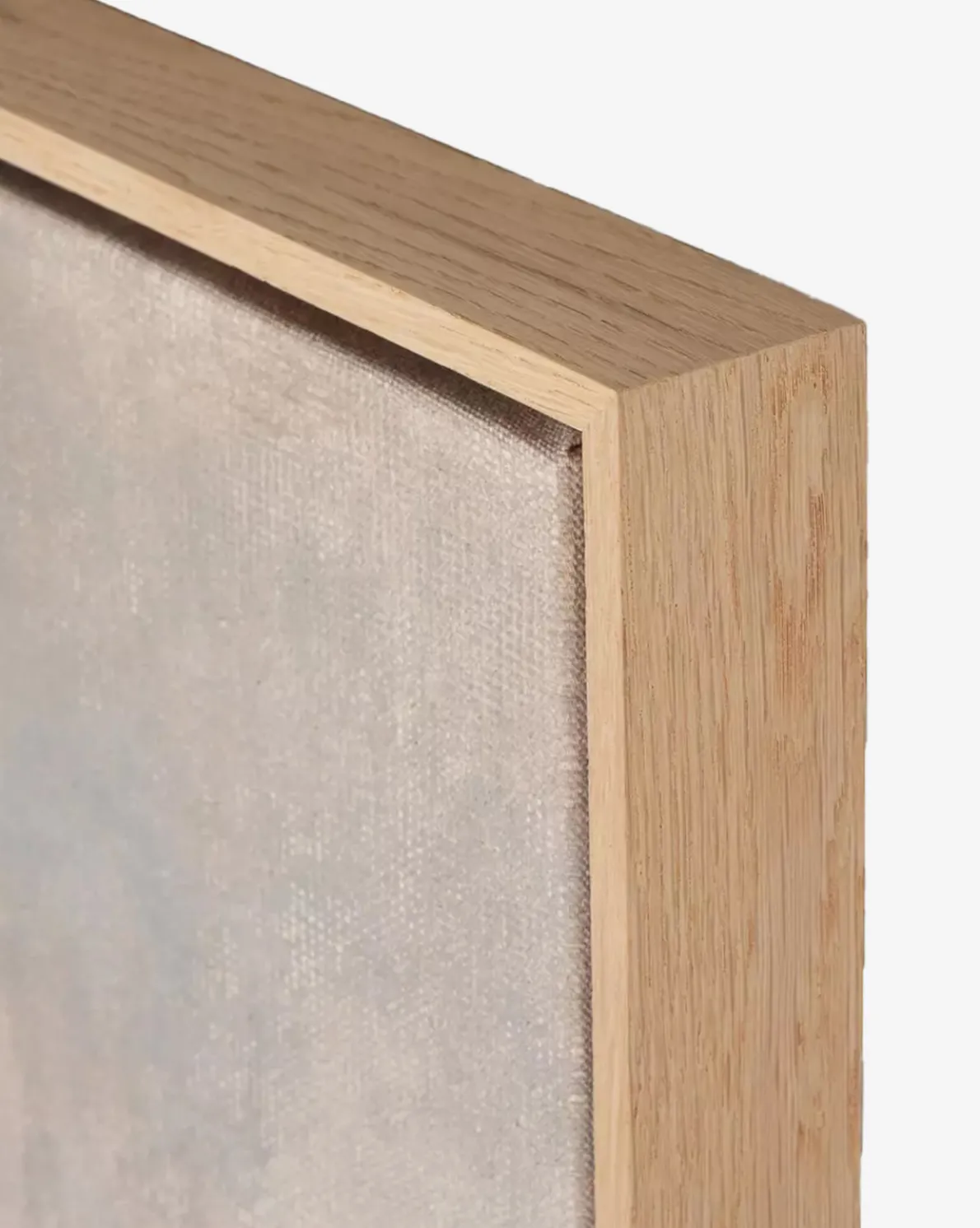 Seeing in Color by Aileen Fitzgerald