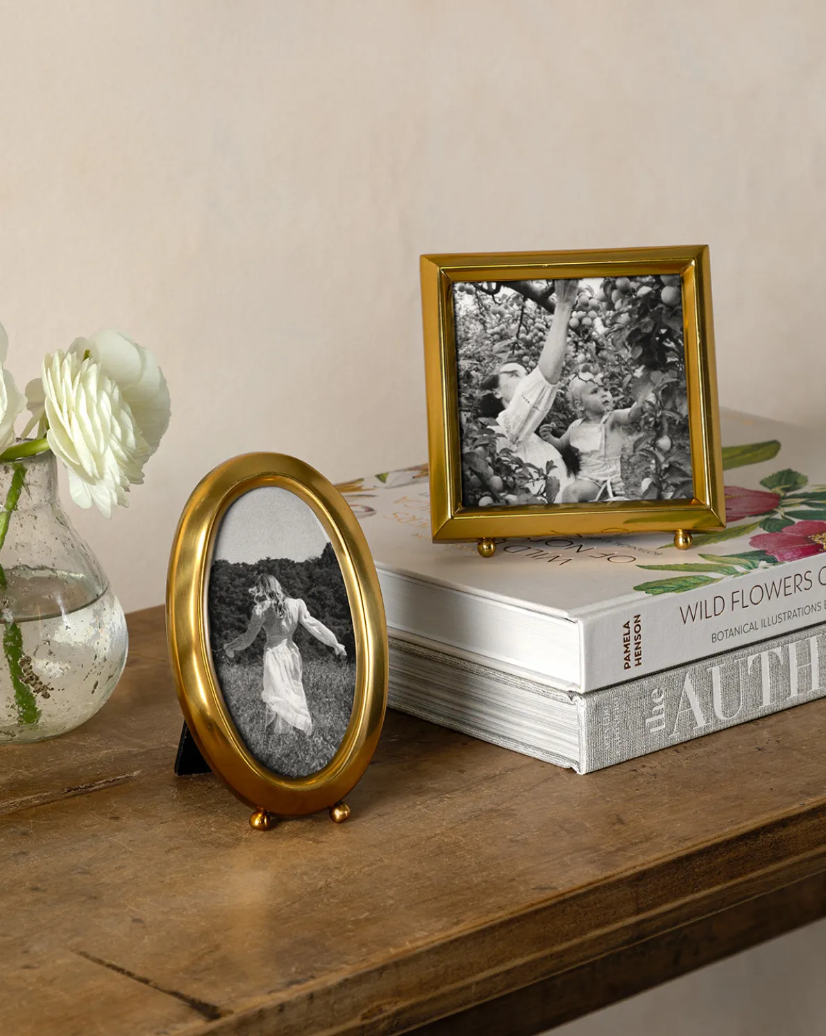 Wild Flowers of North America